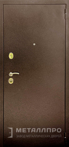 Дверь металлическая «Порошок №9» с внешней стороны Порошковое напыление