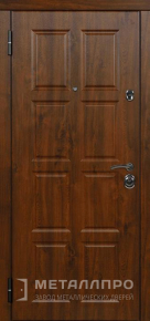 Фото №2 «Стальная коричневая дверь»