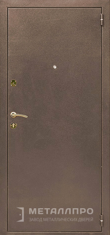 Фото внешней стороны двери «С терморазрывом №52» c отделкой Порошковое напыление